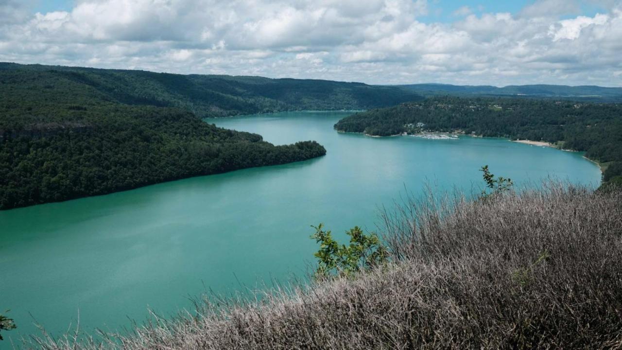 Le Gite Du Lynx N°2 Cernon Exteriör bild